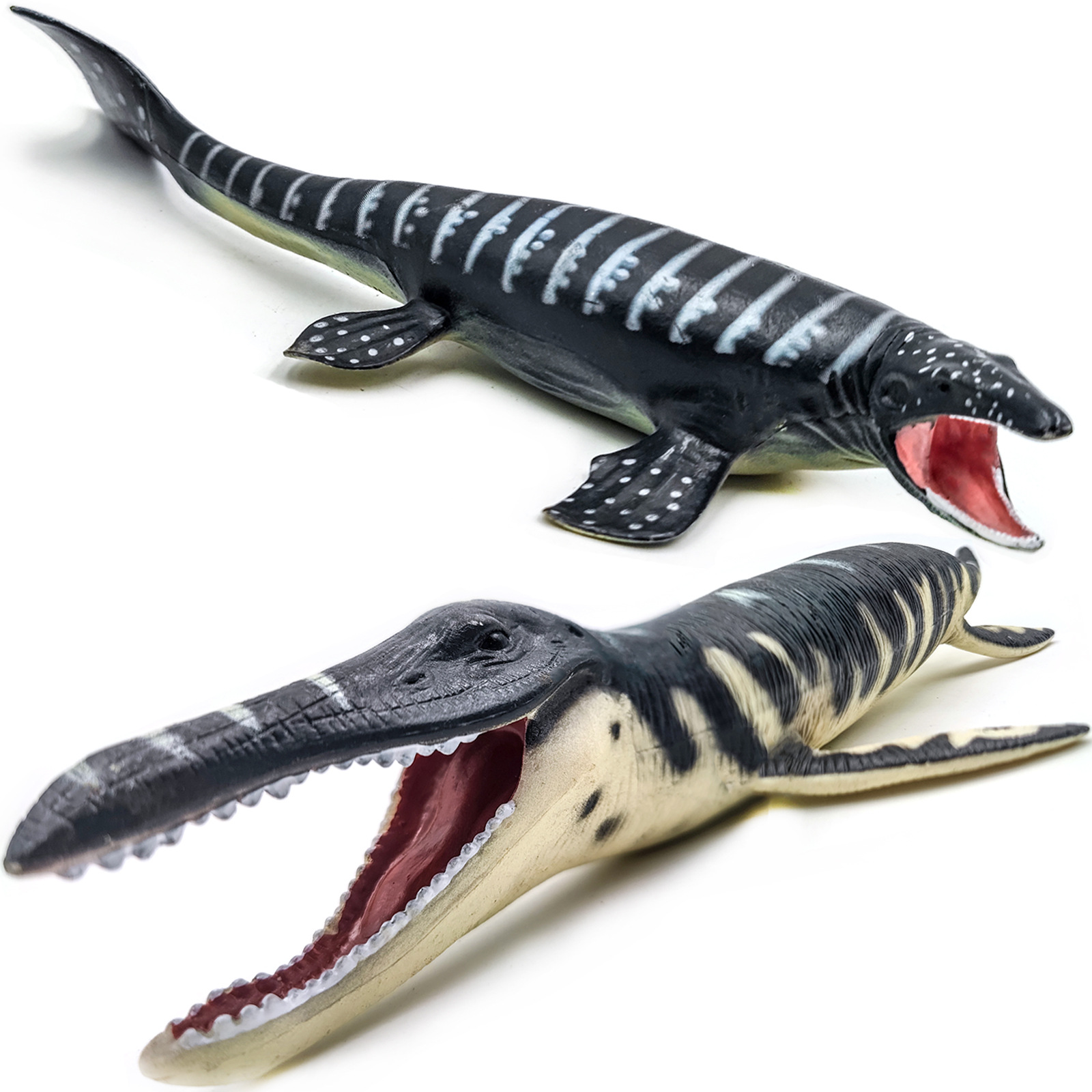 Kids Education In Japan - NEW Sea Life Animal Prehistoric life