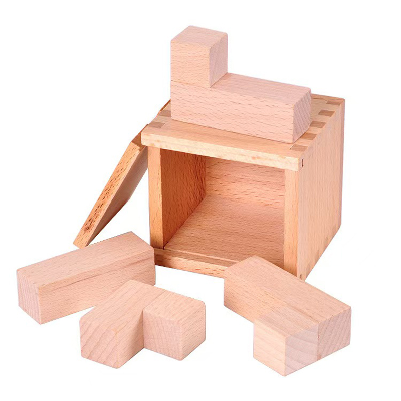 Brain Teaser Cube - Magic IQ Oblique Placement of Blocks