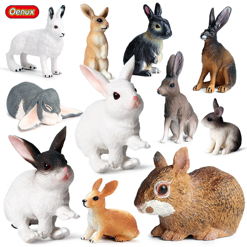 Kids Without Education - Oenux Lovely Farm Rabbit Bunny Model