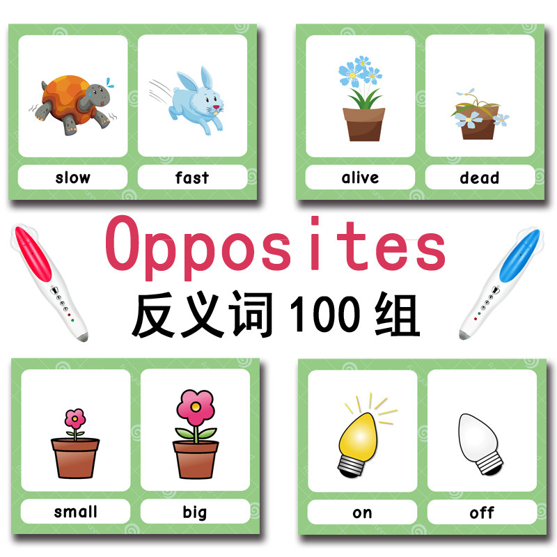The 100 Groups Opposites Flash - Kids Education Age 评论和价格