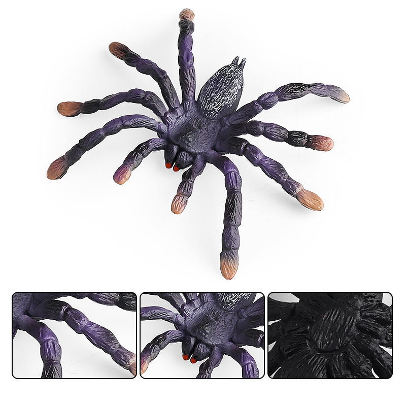 Oenux Insect Animals Model Spi - Kids Without Education 评论和价格