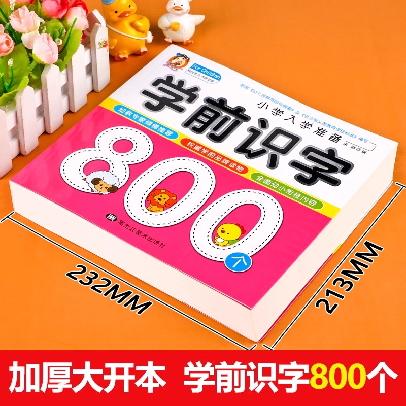 Preschool Literacy: 800 Chines - Kids Education Age 评论和价格