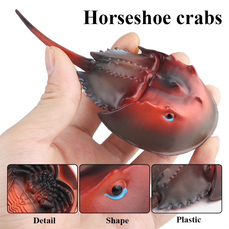 Oenux Sea Life Animals Octopus - Kids Without Education 评论和价格