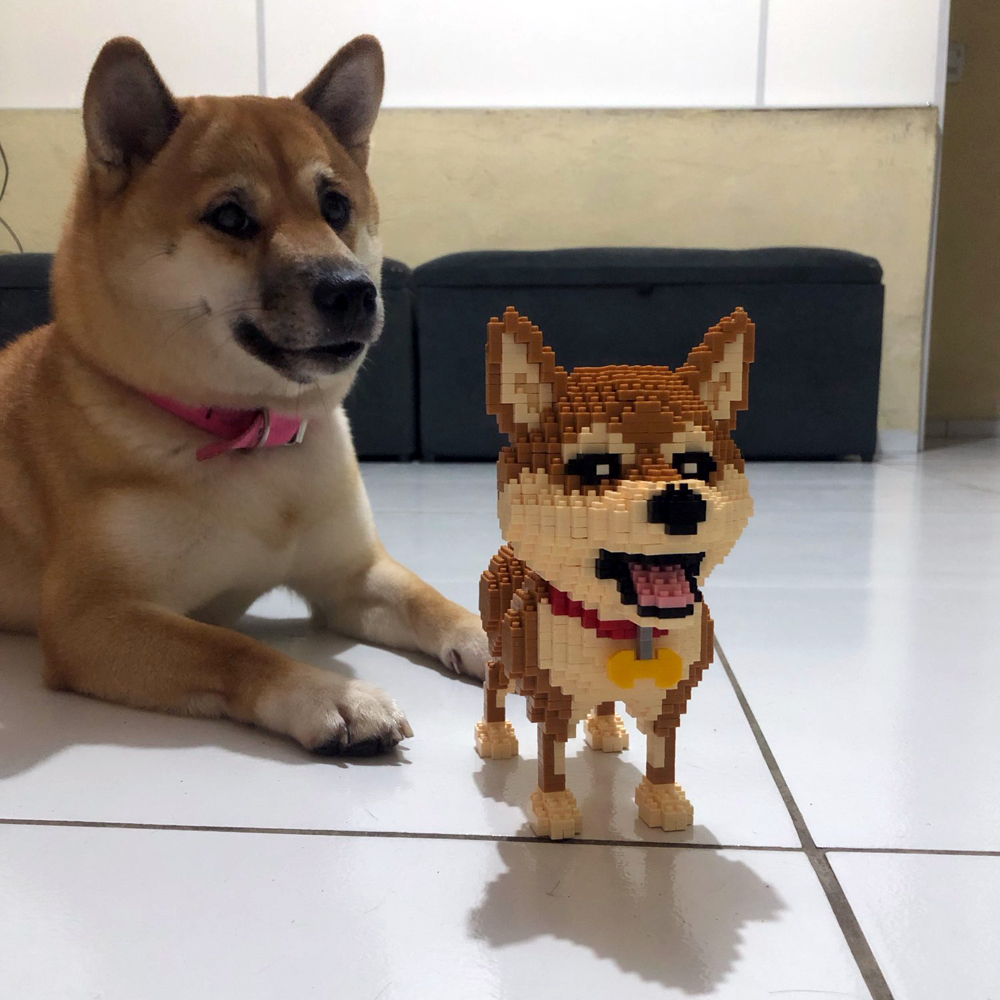 KNEW BUILT Shiba Inu Dogs Mode - Kids Education Recreation 评论和价格