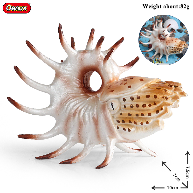 Oenux Sea Life Animals Coral O - Kids Without Education 评论和价格