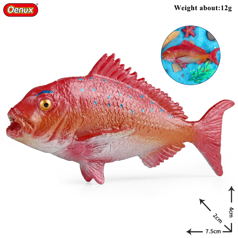 Oenux Sea Life Animals Coral O - Kids Without Education 评论和价格