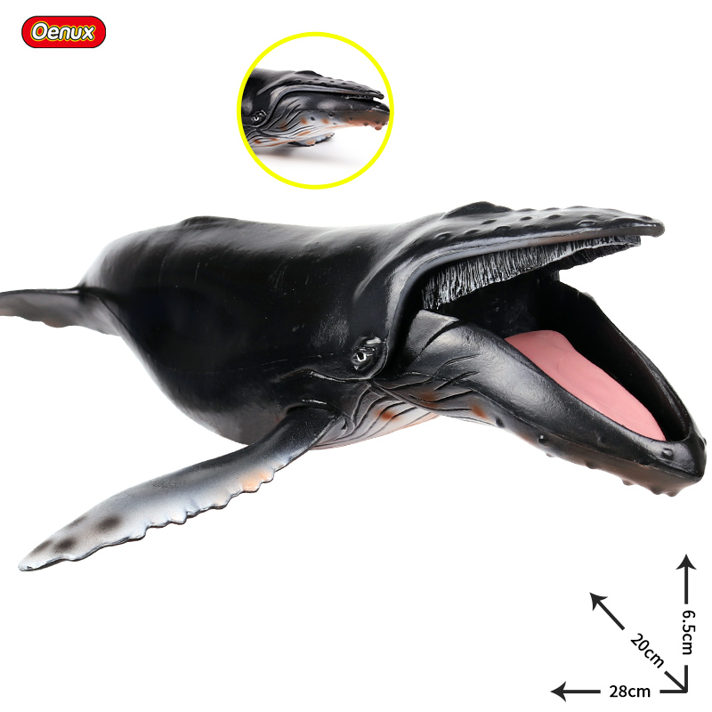 Oenux Sea Life Savage Megalodo - Kids Without Education 评论和价格