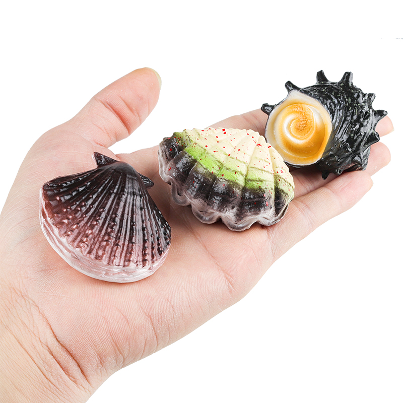 Oenux Ocean Oyste Scallop Star - Kids Without Education 评论和价格