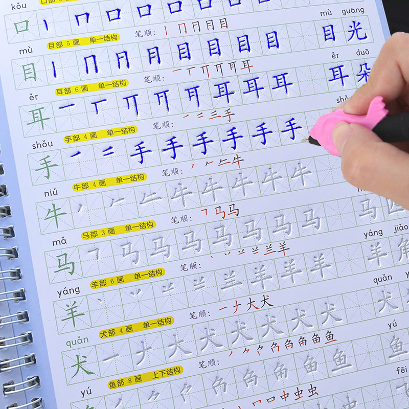 The Copybook Kids Book Learnin - Kids Education Age 评论和价格