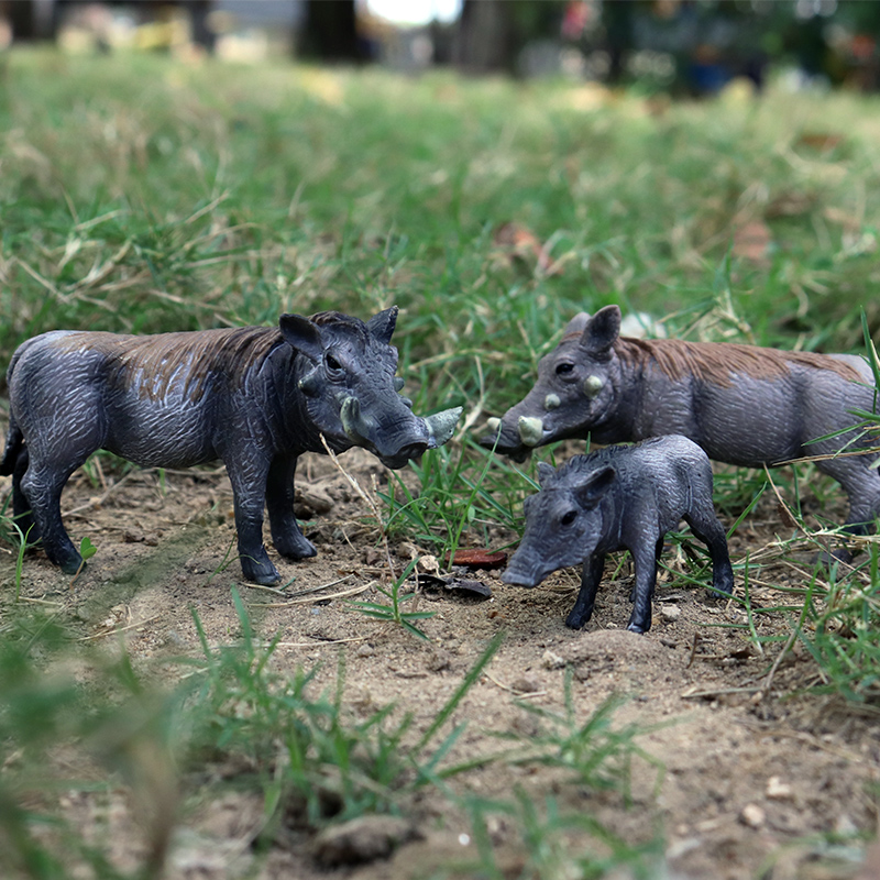 Oenux Wild Boar Tapirus Indicu - Kids Without Education 评论和价格