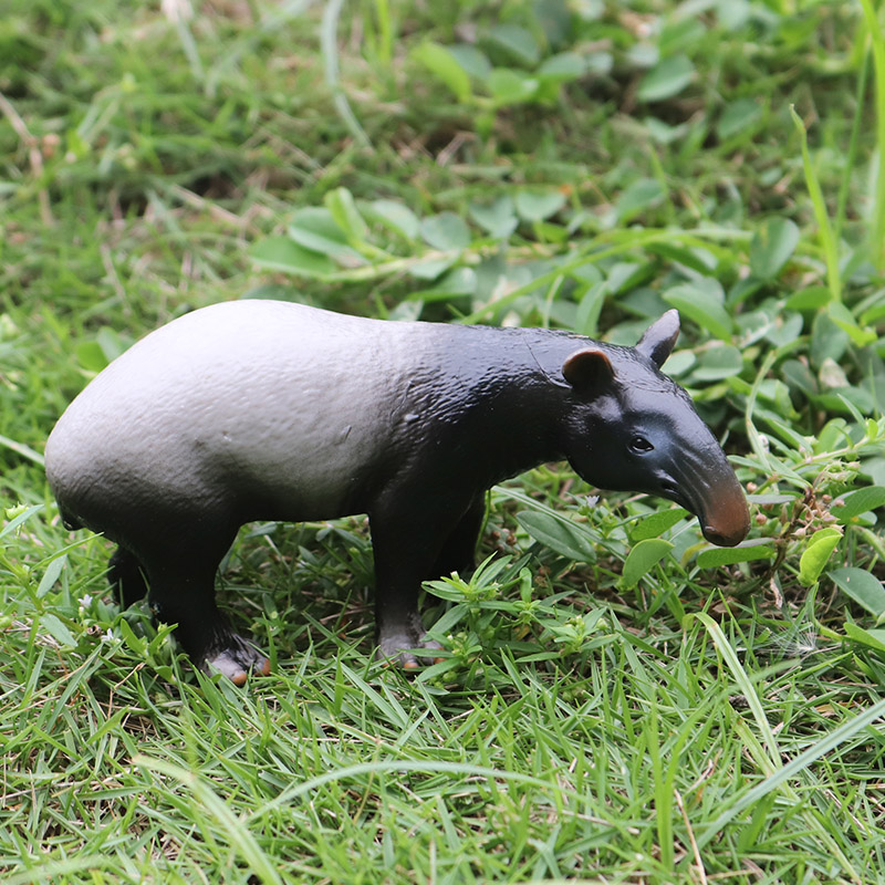 Oenux Wild Boar Tapirus Indicu - Kids Without Education 评论和价格